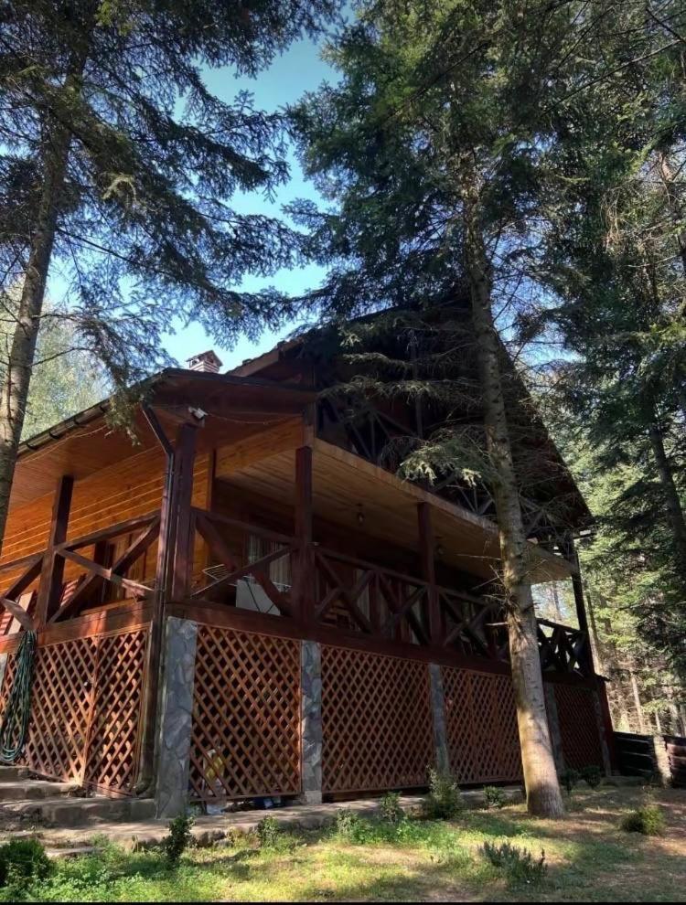 Ялинка Villa Myhove Eksteriør bilde